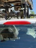 Mitsubishi Colt 2005 Fren Lambası 3.Stop  - 1